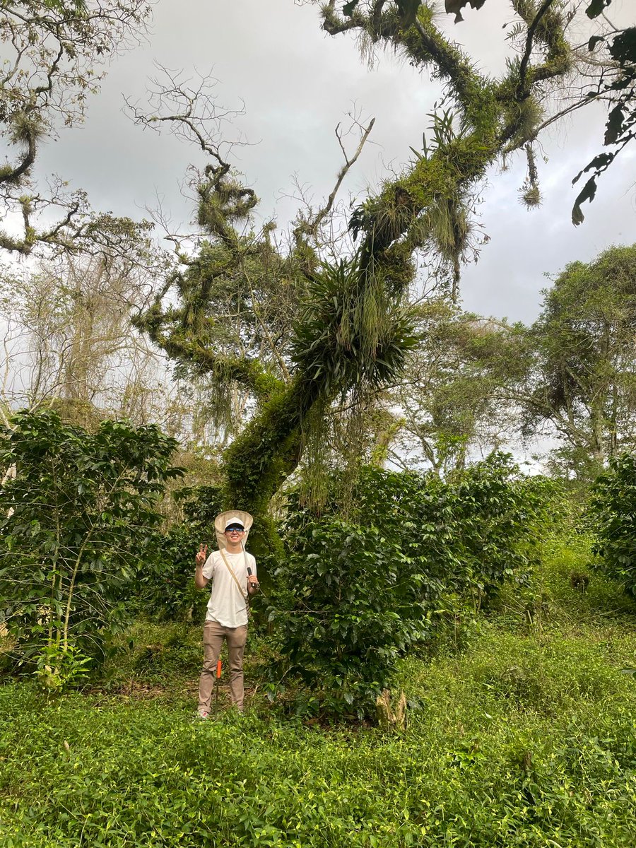 Luis Guillermo Quijano Cuervo tweet media