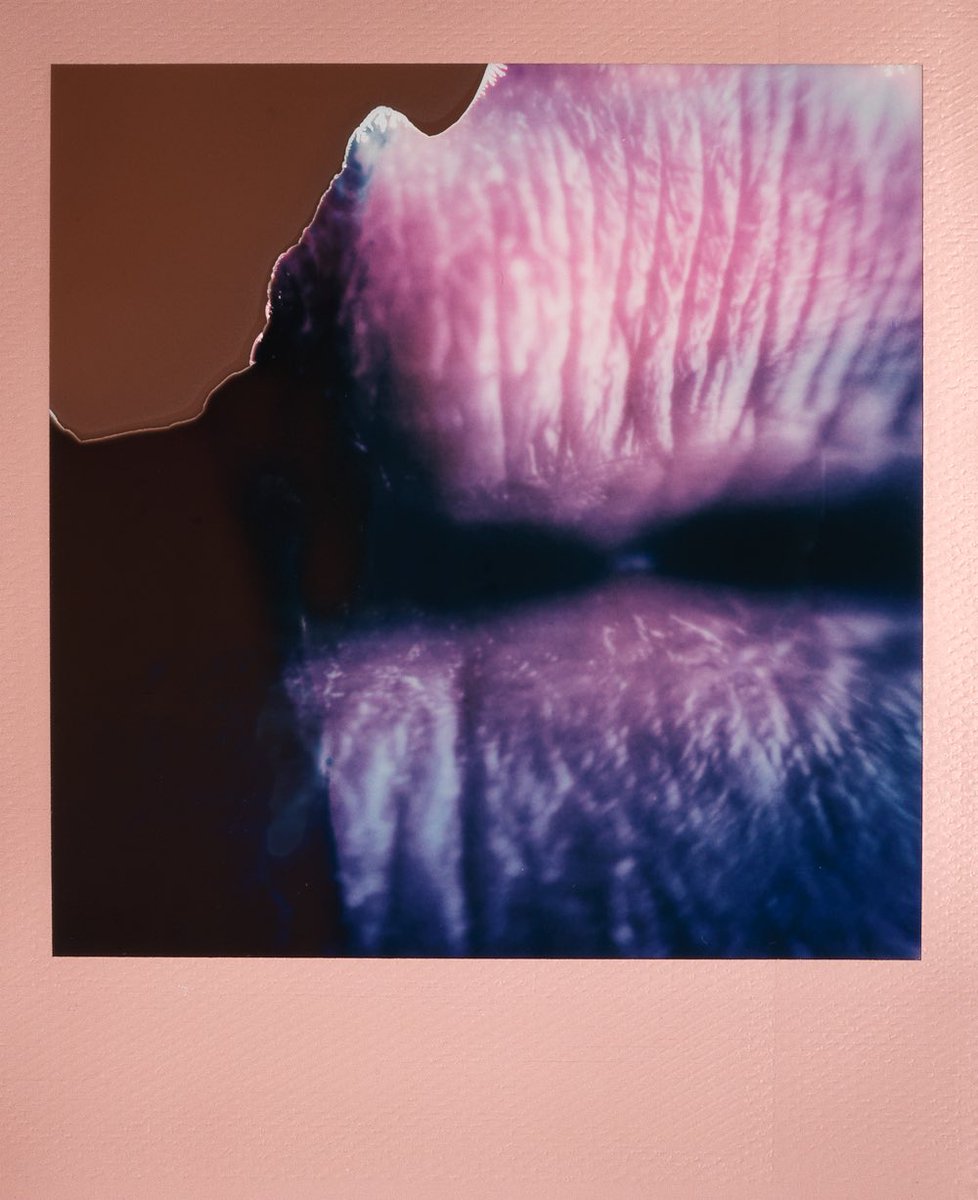 @FreakArtNFT Pink Frame