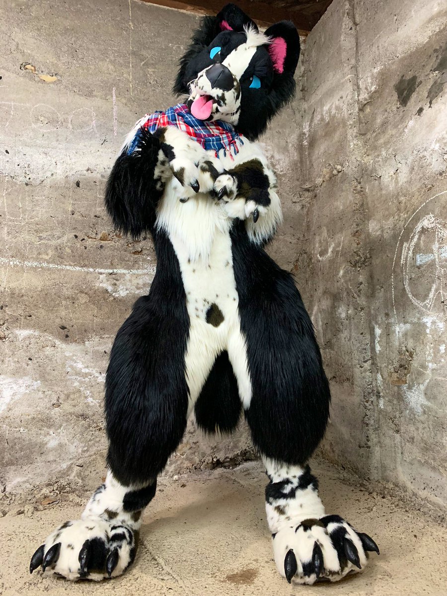 Jack Collie tweet media