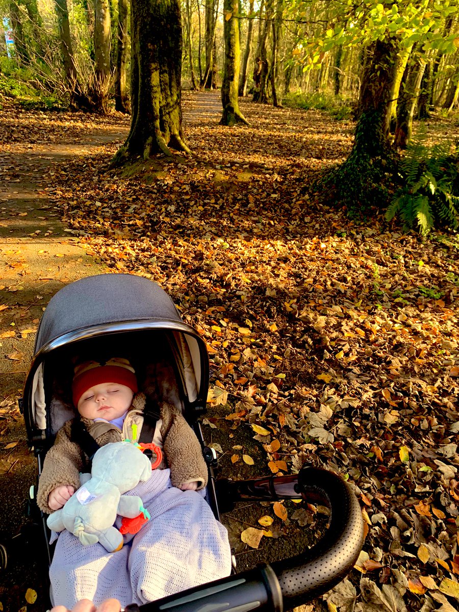MissEvsGeog's tweet photo. My favourite time of year 🍂 https://t.co/AWcXfLPAoK