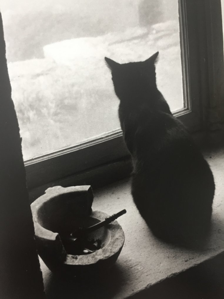 electrofab's tweet image. Lungo il fiume, si diventa bohémiens. 

#seiparole
#prowriter

#photography --&amp;gt; Willy Ronis, Le chat derrière la fenêtre
