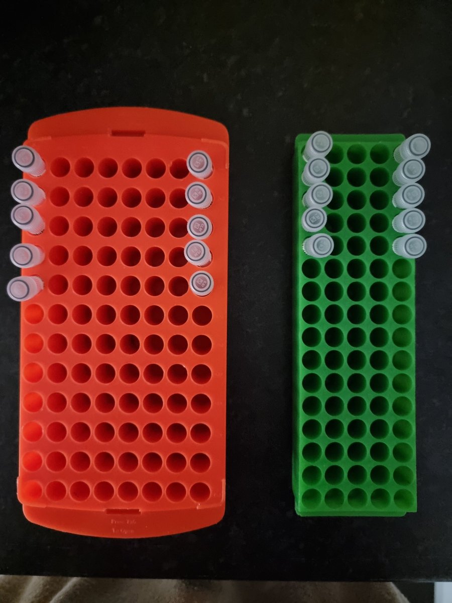 3 years and 9 months later...PhD data collection is complete ✅️ next stop, biochemistry analysis 🩸🧪