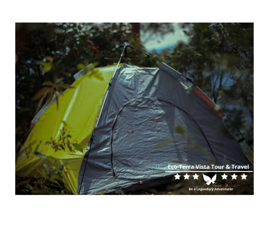 🚵♀️Dope Travels 🇷🇼👣 tweet media