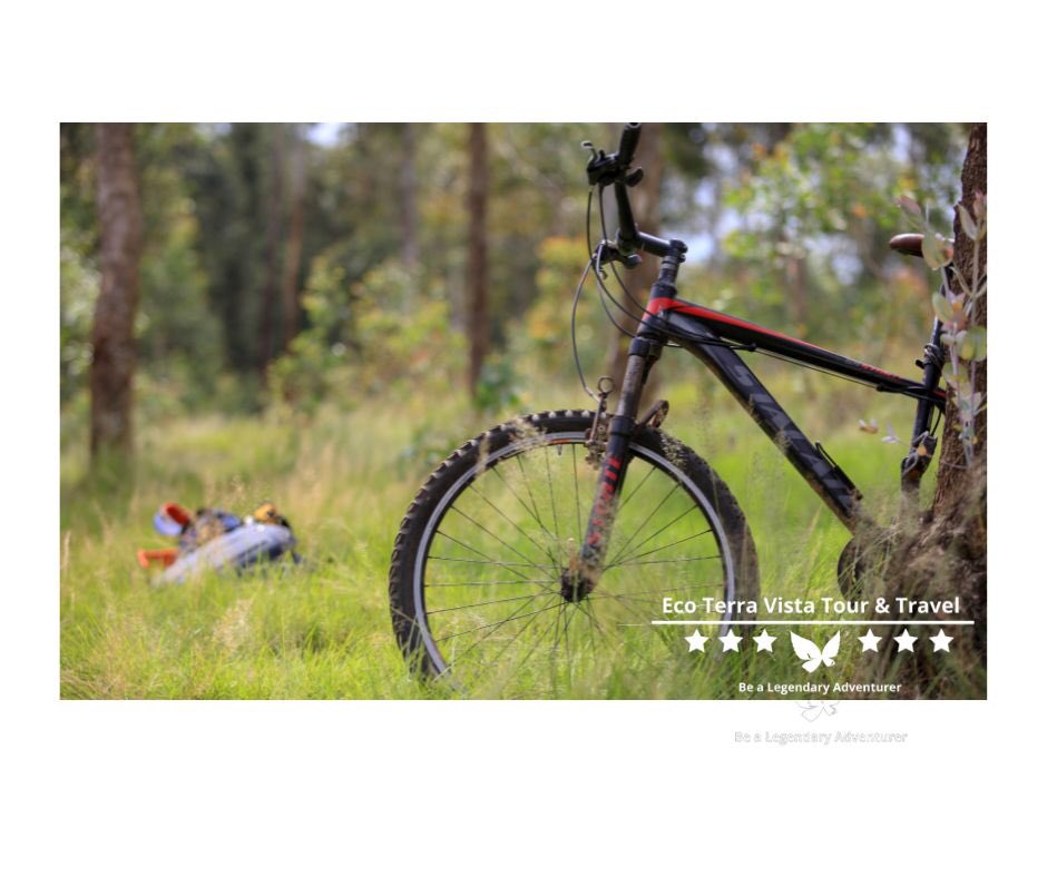 🚵♀️Dope Travels 🇷🇼👣 tweet media