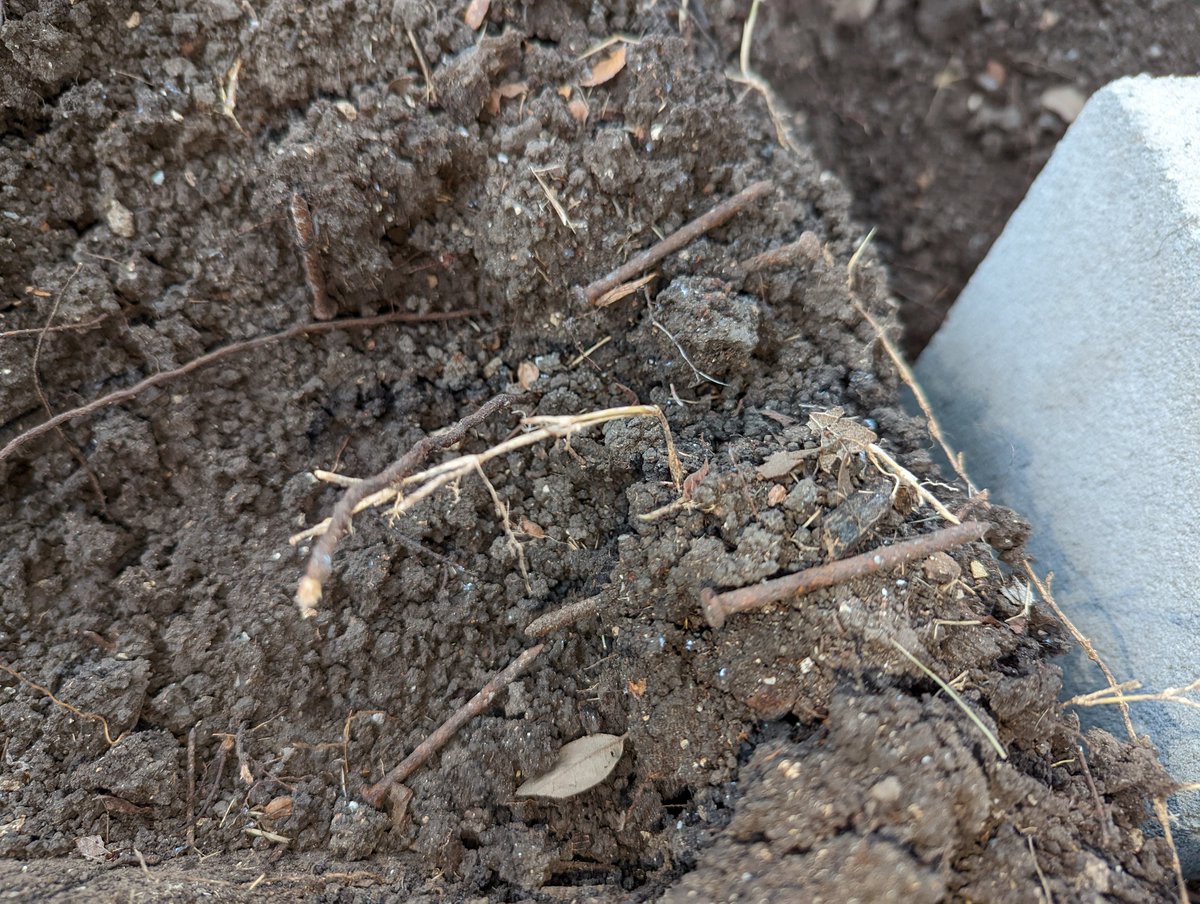 Greg Swift tweet media