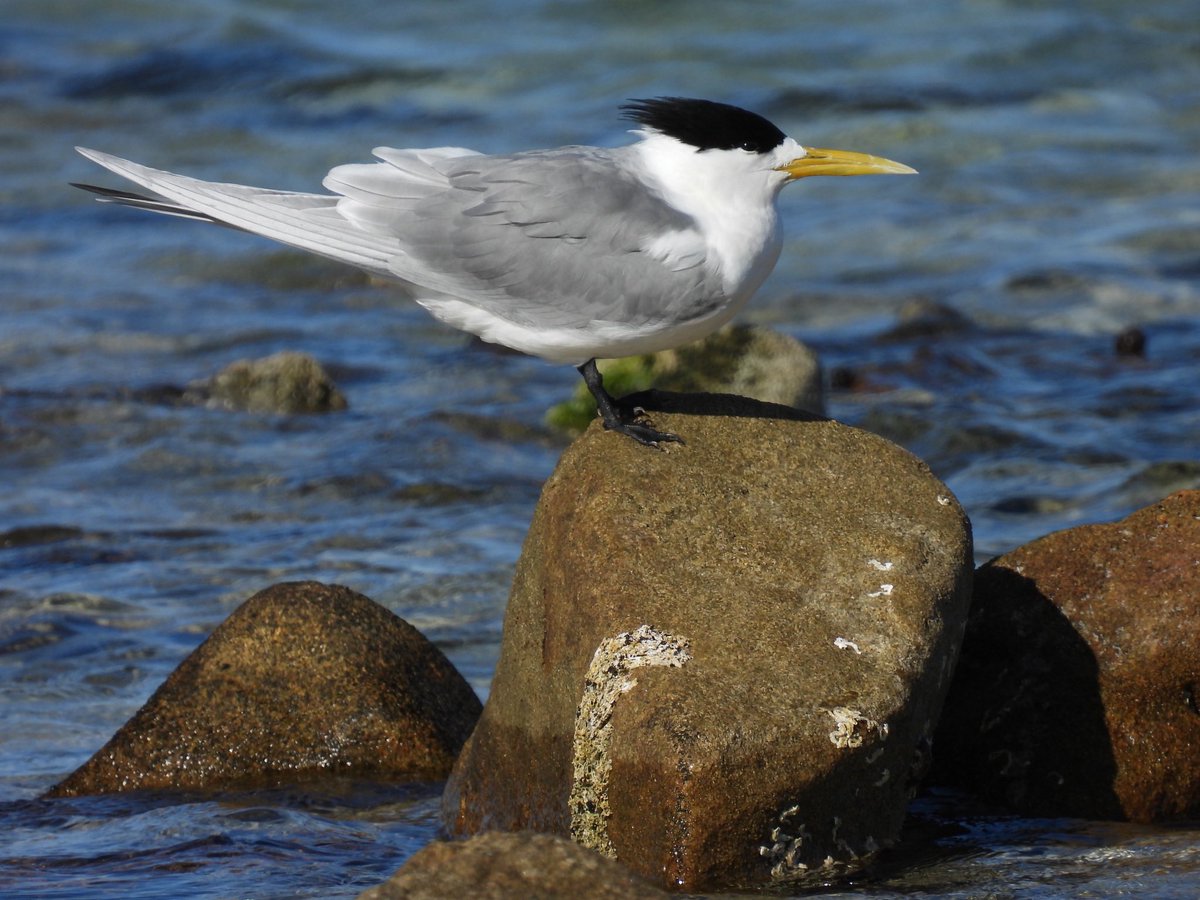 BlueJayWay tweet media