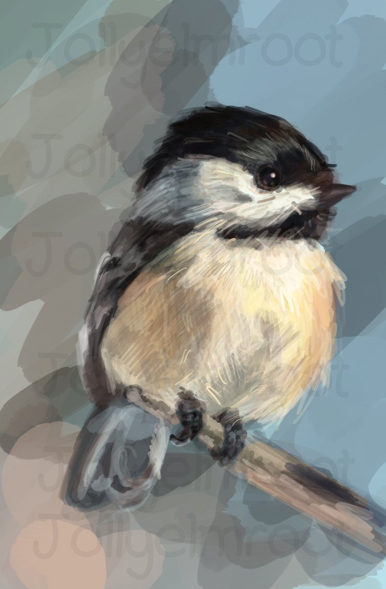 Chickadees are one of my favorite birds #art #realism #drawing #painting #artwork #digitalart #digitalpainting #procreate #realisticart #sketch #impressionism #youngartist #blkartist #artstudy #portrait #artportrait