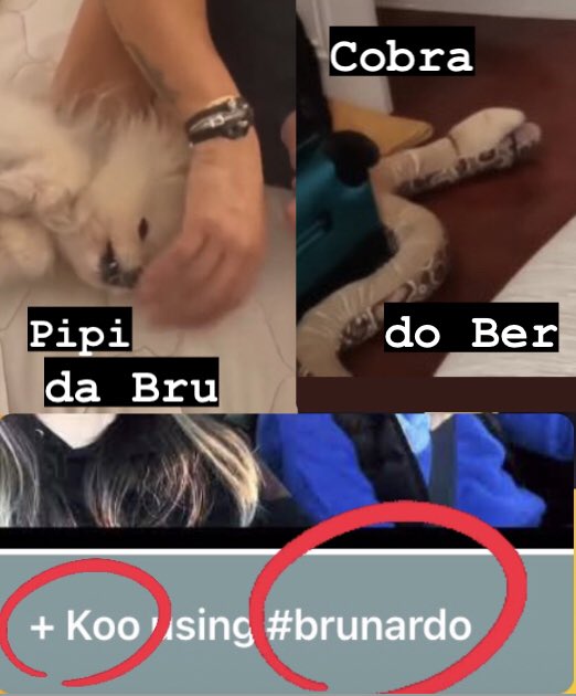 Ora bem…
🔜 ver o Koo de Brunardo e 😏: 
Ber a brincar com o Pipi da Bru 🤔
Bru a arrumar a cobra do Ber😳
 
É só ladeira abaixo 🙉🙈🙊

#brunardo

Ps: ver foto para não pensar asneira 👇