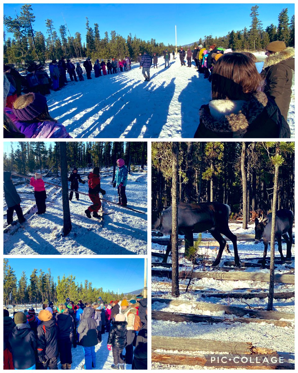 Kelsey MacDonald tweet media