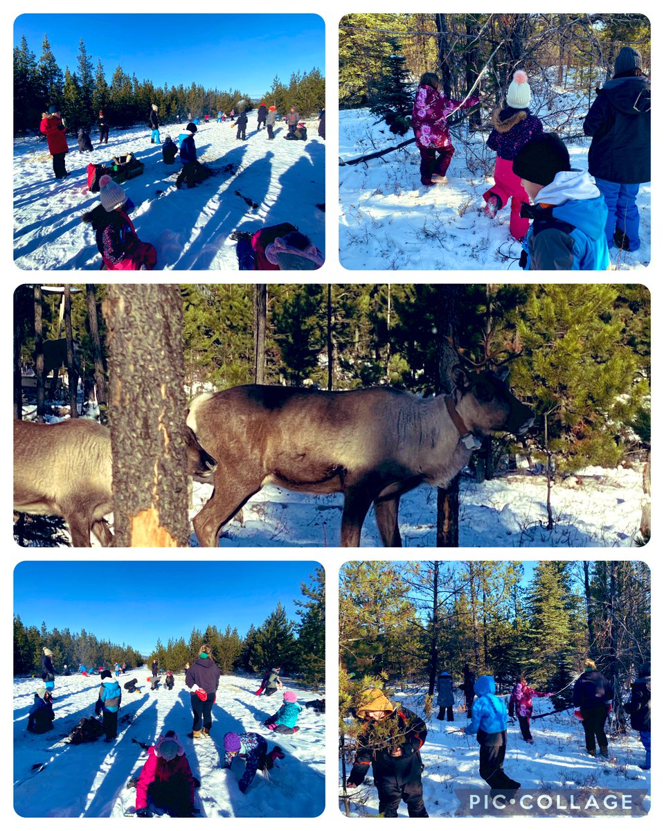 Kelsey MacDonald tweet media