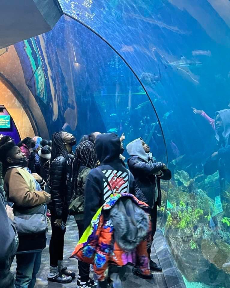 Schutter227's tweet photo. RTHS was @shedd_aquarium with some Pre-AP Biology students! We had the most fun exploring our fishy friends 🐳🐬🐟🐠🐡🦀🦭🐊 #richinstudentsuccess #RTHS #biologyclass https://t.co/Uch5FFEUpS