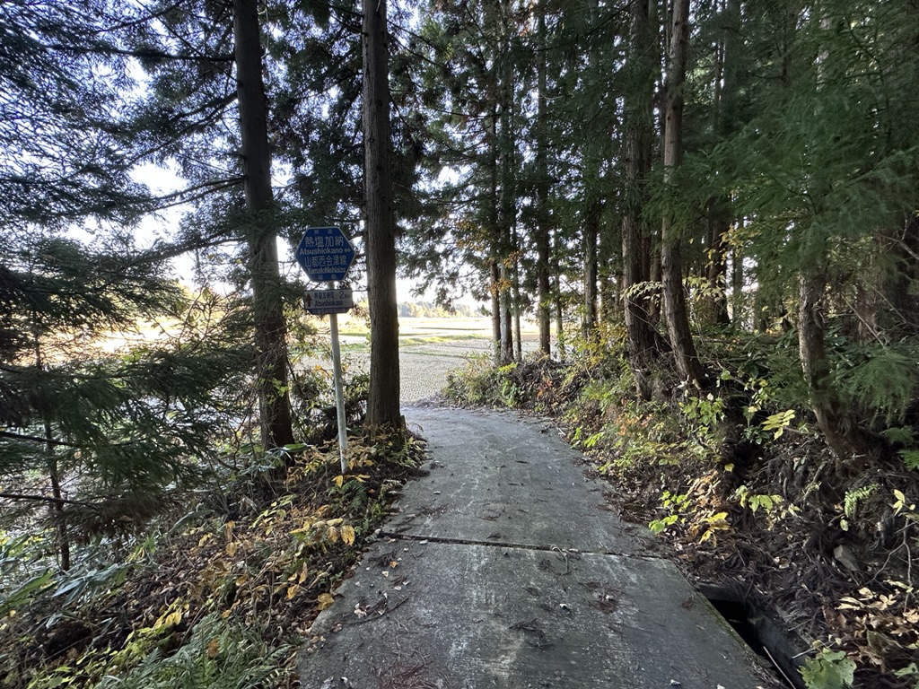 まきのじ on Twitter