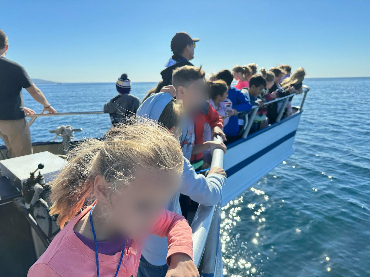 B Rudolph tweet media