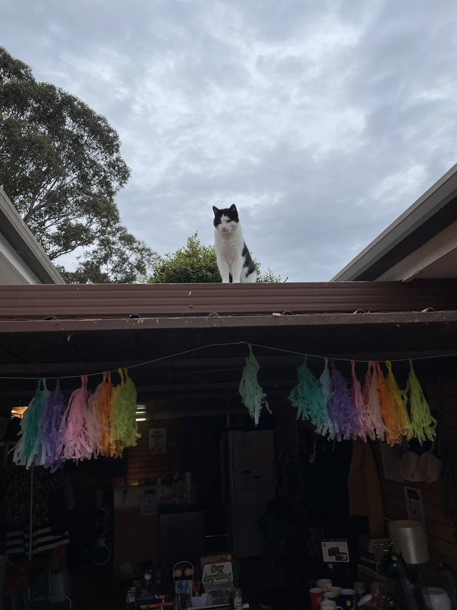 SilviReports's tweet photo. Garage sale snaps https://t.co/01BQODEFaL