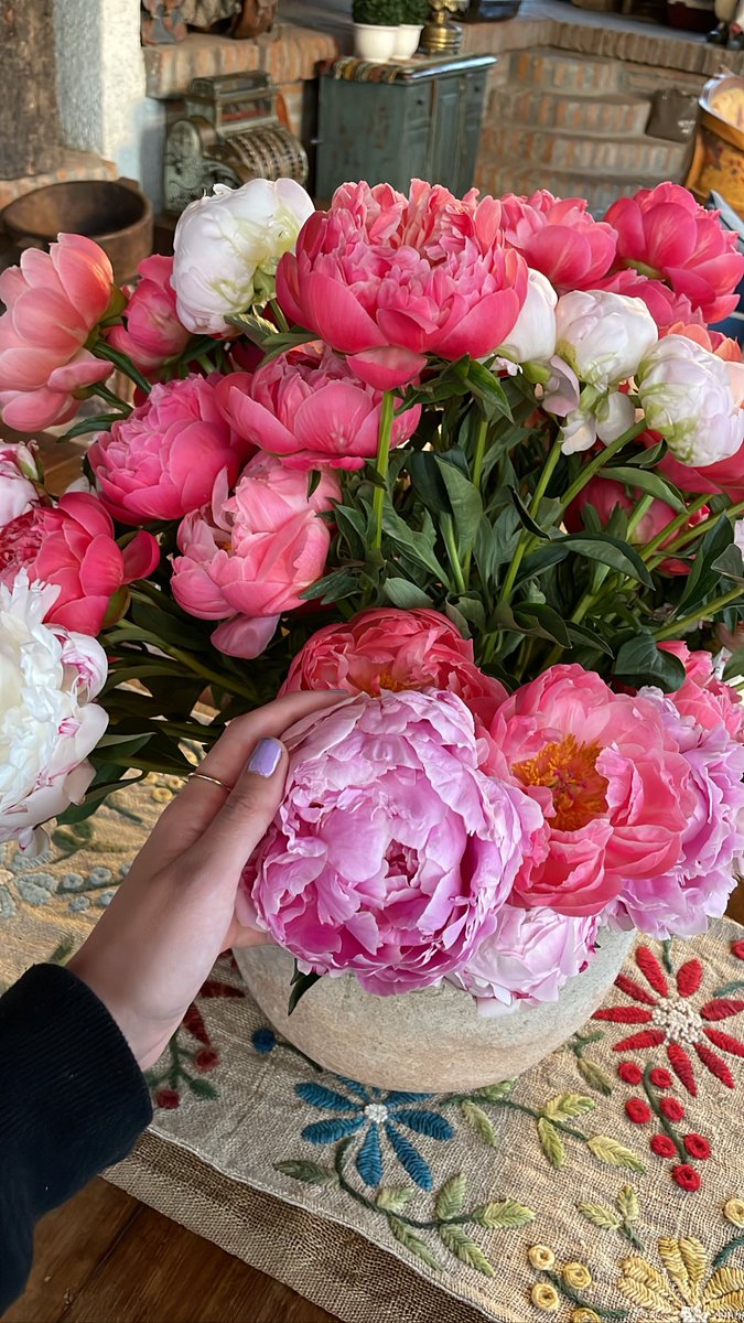 mañana vocal set en la montaña privada 🎀🥹🎹🎤