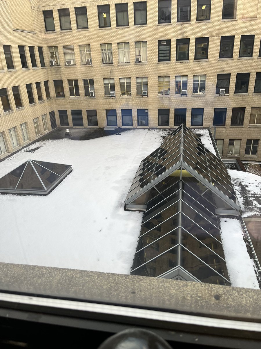 Kammermeier Lab tweet media