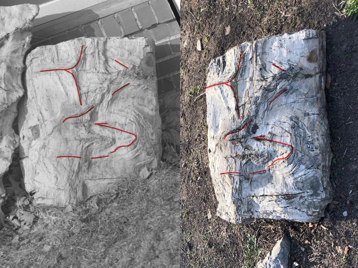 INGeoSurvey's tweet photo. Recently digitized images of Owen Hall show 300 mya tree fossils that are now located outside of the IU Geology Building. Unlabeled and unidentified for decades, these fossils can now be used for teaching &amp; research.
That's the value of #IGWScollections! https://t.co/waeftQUiZn
