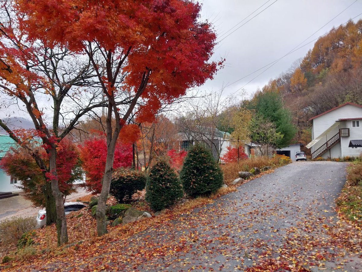 <돌나라-가을 풍경>
가을이 예쁘네요~^^ 

youtu.be/pec3n5SgTOE (korean)
youtu.be/k-zQ9B8xlfE (english)
youtu.be/GYgcYJLLScM (Japanese)

#돌나라 #doalnara #가을 #autumn #秋 #가을풍경 #秋の風景 #Scenery #pd수첩 #jtbc뉴스룸 #mbc