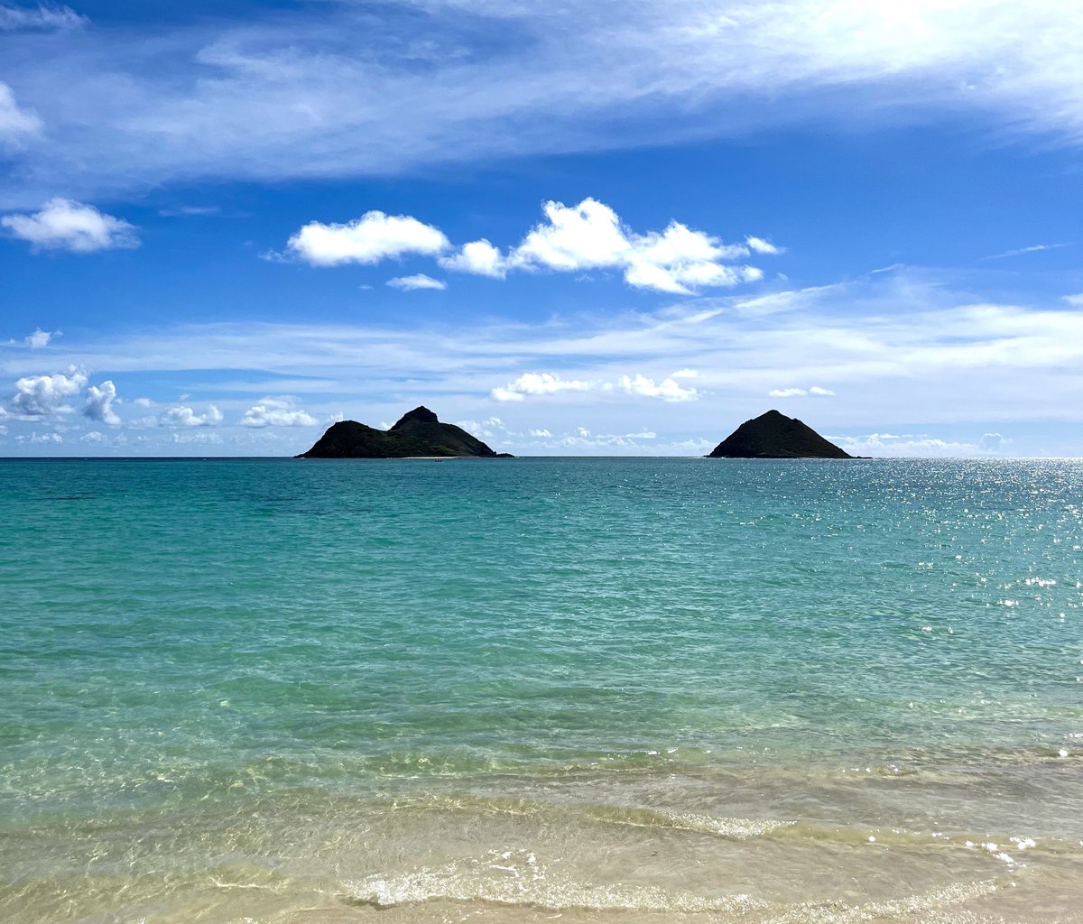 Warmest Thanksgiving greetings to you and your family!