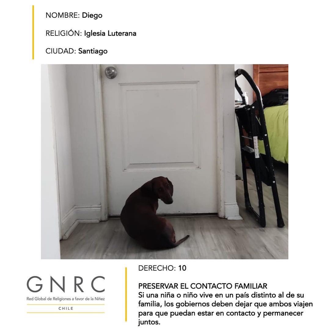 GNRC_Chile tweet picture