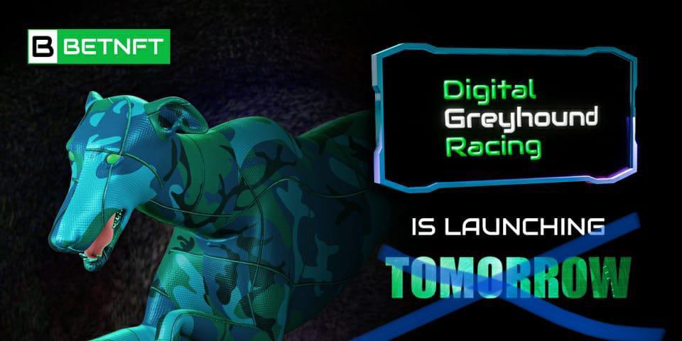 BetnftRun's tweet photo. Be prepared 🤭

Today’s the day🚀

Next post will be “And we’re off racing”🔥

#doggy #ElonMusk #NFTs #Qatar2022 #BetNFT #DGR https://t.co/OzT7Gpox0z