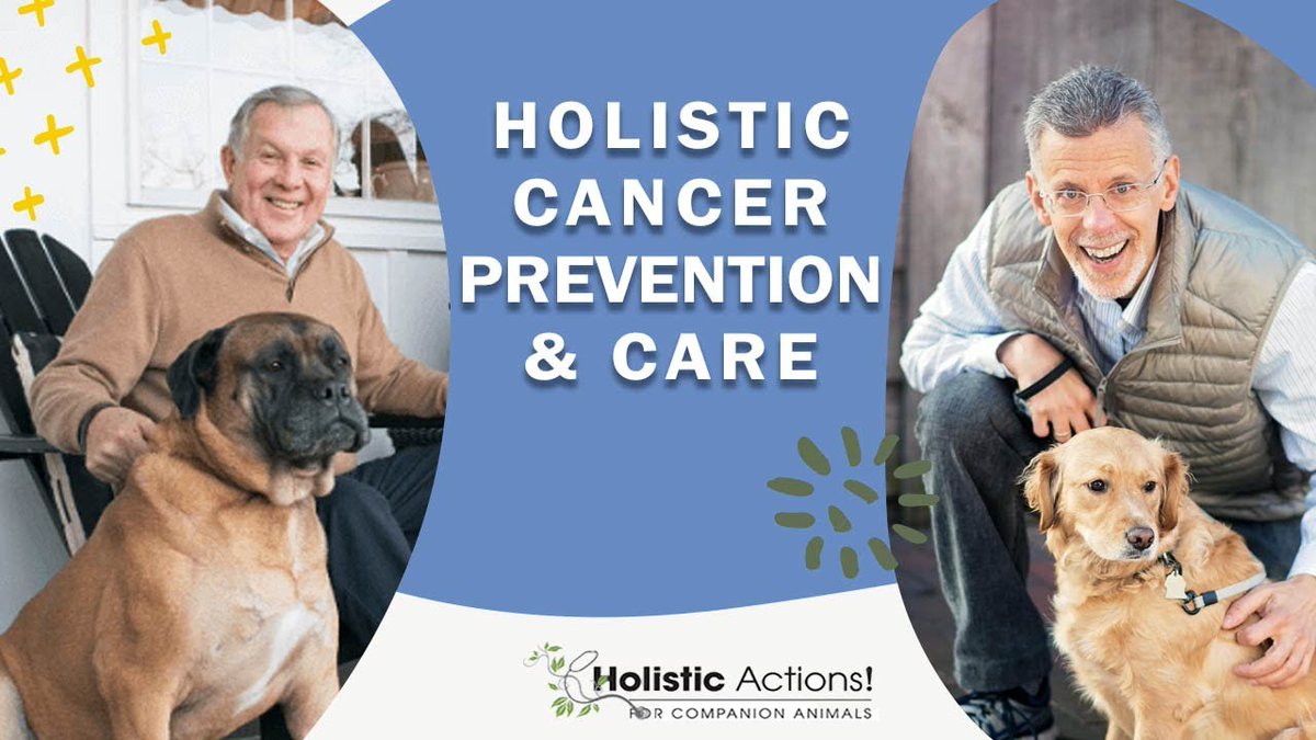 Are you looking for ways to keep your pet closer to nature and help them stay healthy?

During our Cancer Prevention webinar, Dr. Bob Goldstein talk about how the cancer prevention and management program begins and ends with embracing and loving your pet. youtube.com/watch?v=T4zPIc…
