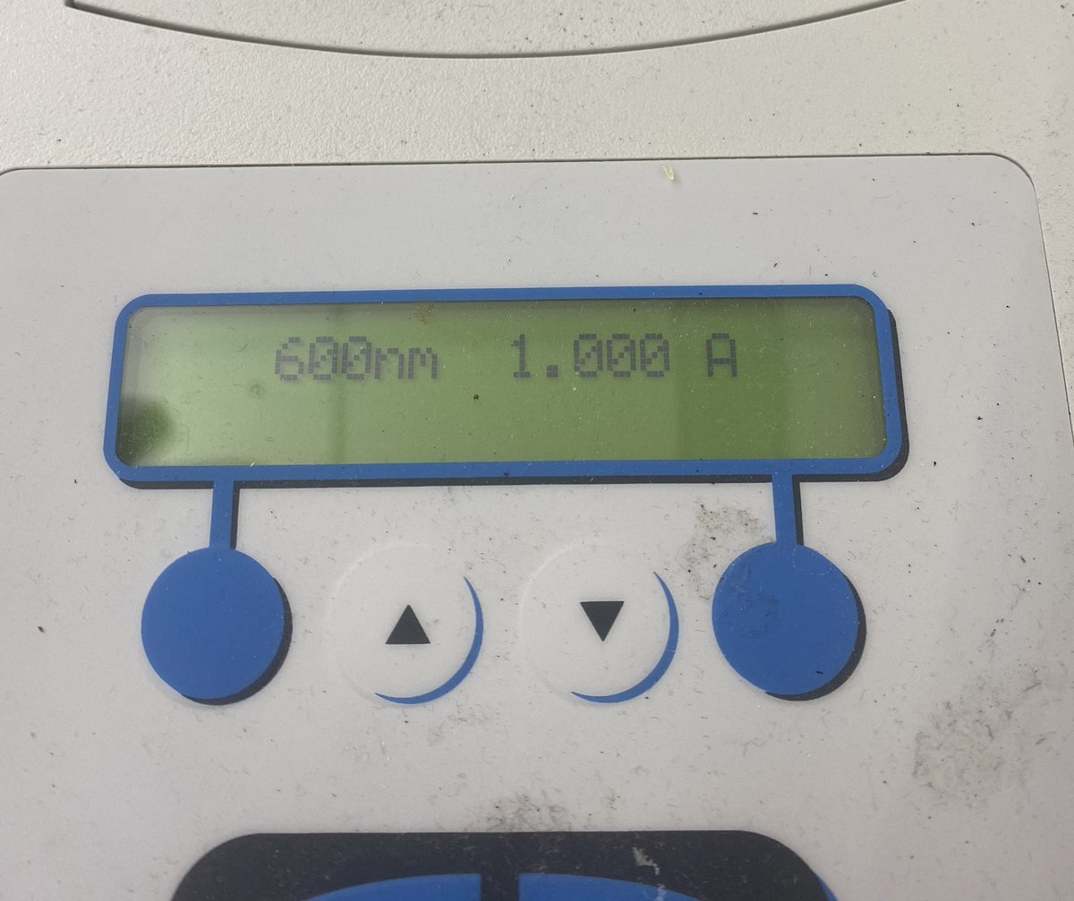 Christiana Binkley tweet media