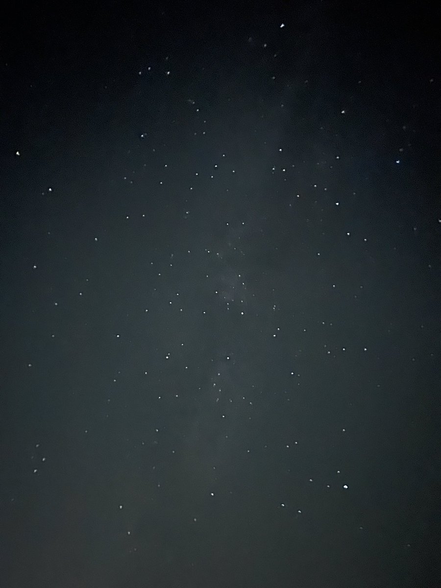 Rosemary Hardy 🌻 tweet media