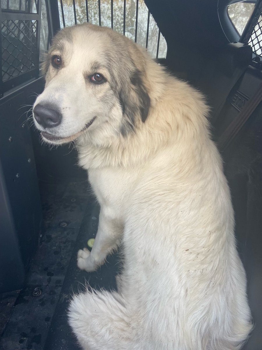 OPP Central Region tweet media