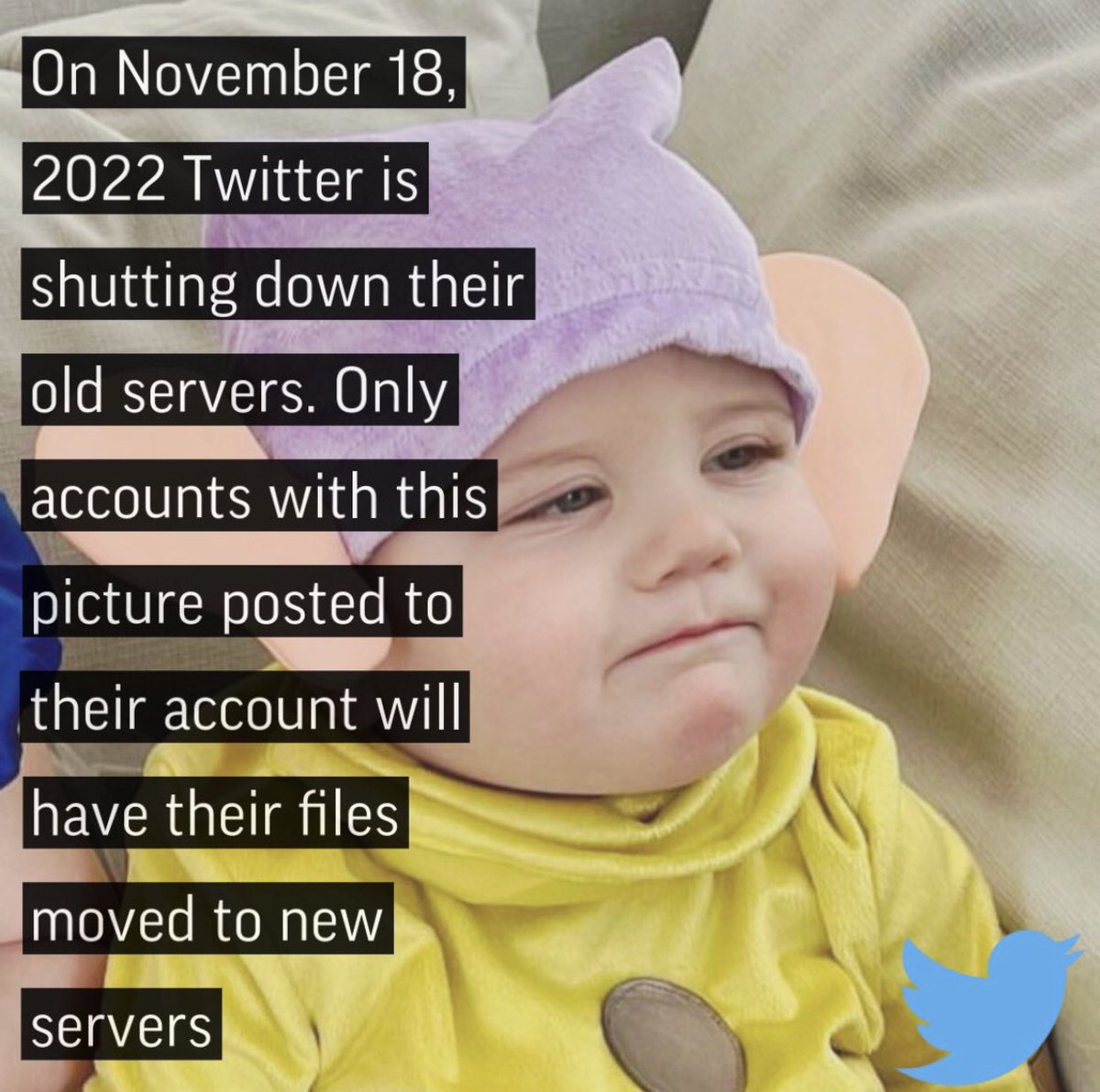 Emma_CRB's tweet photo. Idk if this real but Twitter was a good app and one of the best things happened to me on this app. 🥺😔 https://t.co/HJmqg6vXFN