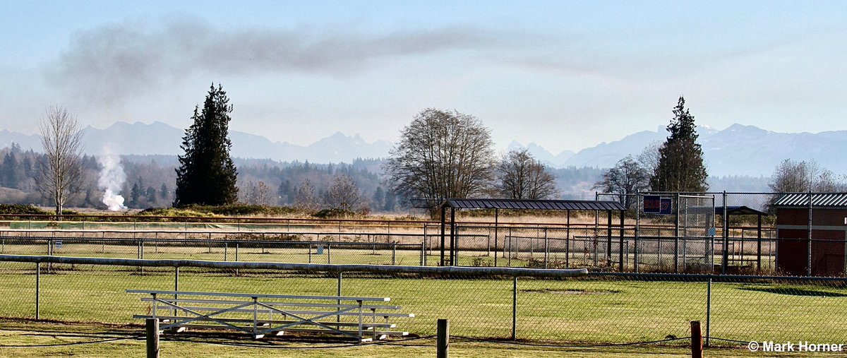 Mark Horner tweet media