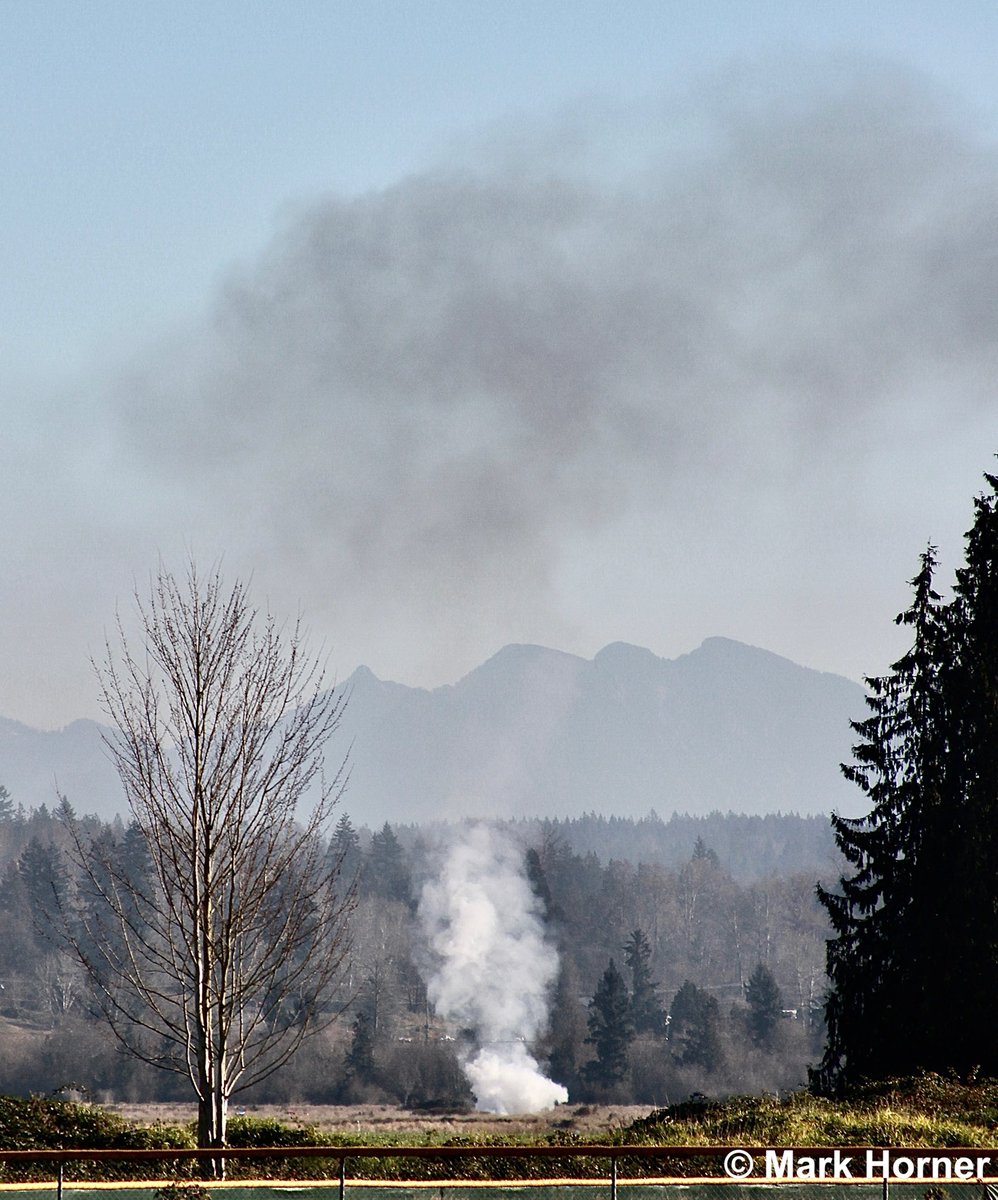 Mark Horner tweet media