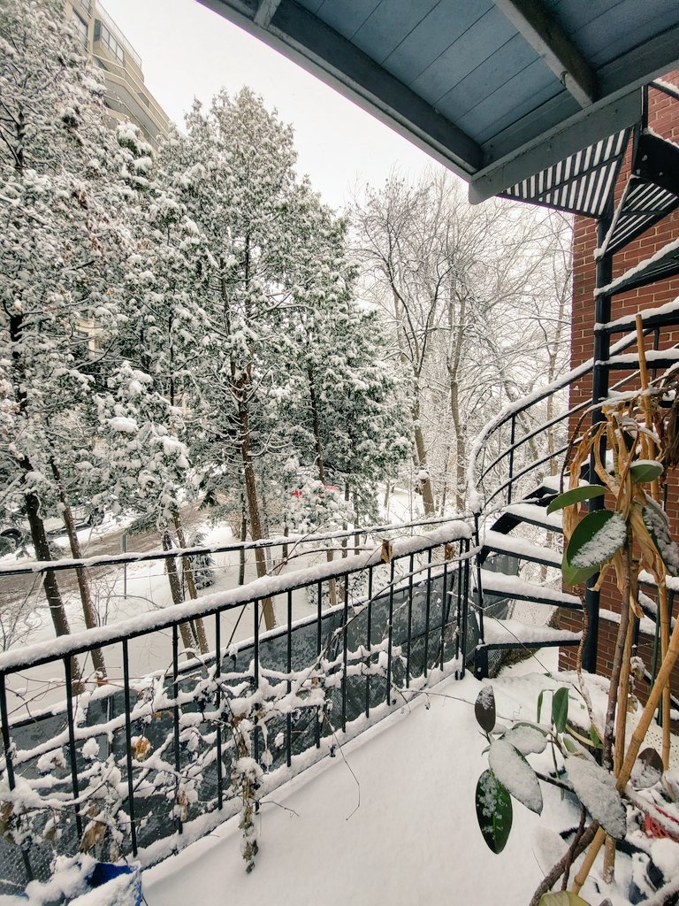 ungracioussquat's tweet photo. #firstsnowof2022 https://t.co/8TFj3wAfrH