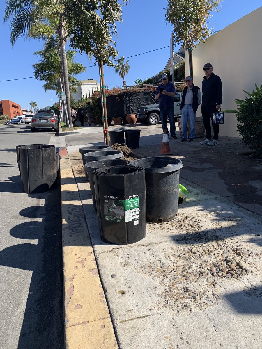 enhancelj's tweet photo. Three new Chinese elm trees in the ground today on Silverado St. thanks to a team effort by the La Jolla Garden Club, La Jolla Rotary, the La Jolla Woman’s Club &amp; Enhance La Jolla. https://t.co/tBD6sxyykz