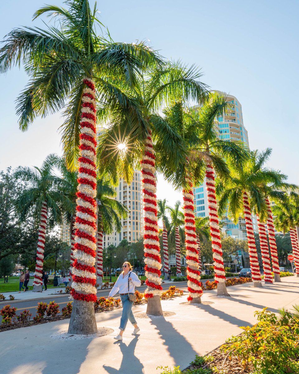 It’s beginning to look a lot like Christmas! 🌴☀️ #StPete #Florida