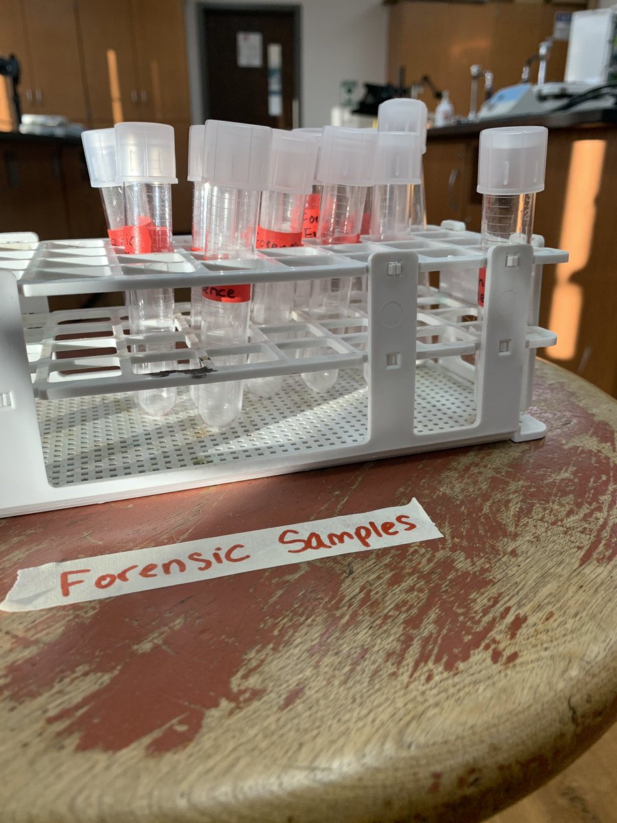 Robin DeGlavin ✇ tweet media