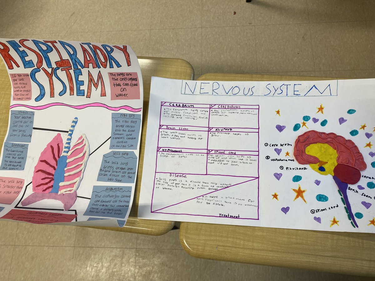 MrsManningSDC's tweet photo. Loving these science models of human body systems (gr. 5s) and WANTED posters of invasive species (gr. 6s)! These are just a small sample…all students rocked this task! https://t.co/nlSynBpPQW