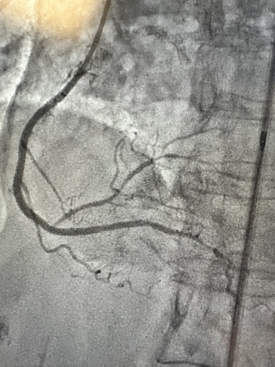 Ravi Hira tweet media