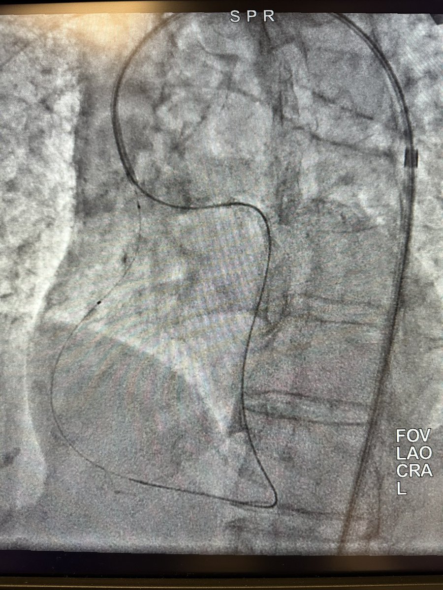 Ravi Hira tweet media