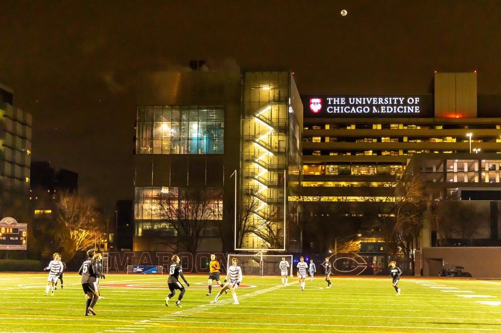 UChicago College on Twitter cheer on your unbeaten