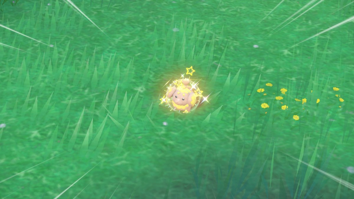 Shiny Fidough
