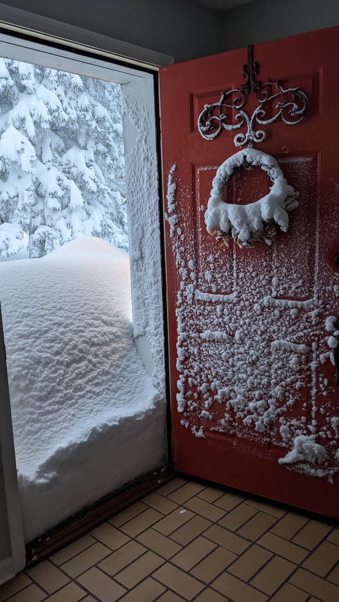 I'd estimate the snow is approaching 4 feet in Hamburg, NY. And it's still falling steadily. Hasn't let up at all today. <a href="/BBCWorld/">BBC News (World)</a>