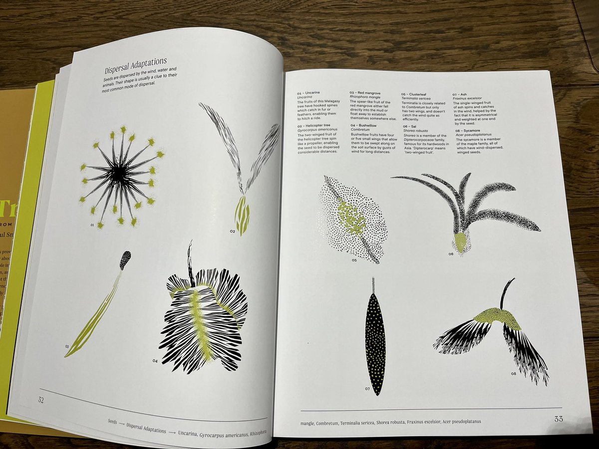 Michele Bozzano tweet media