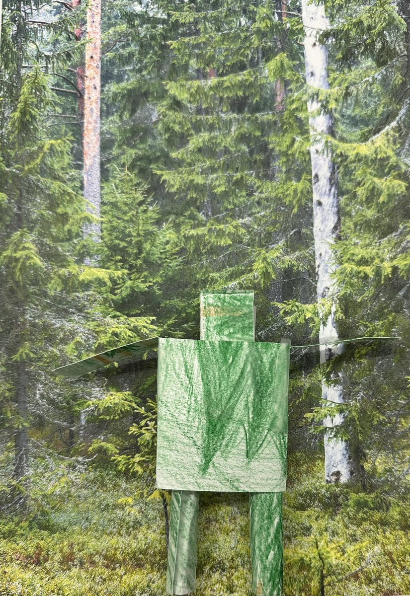 Robin Cotton tweet media