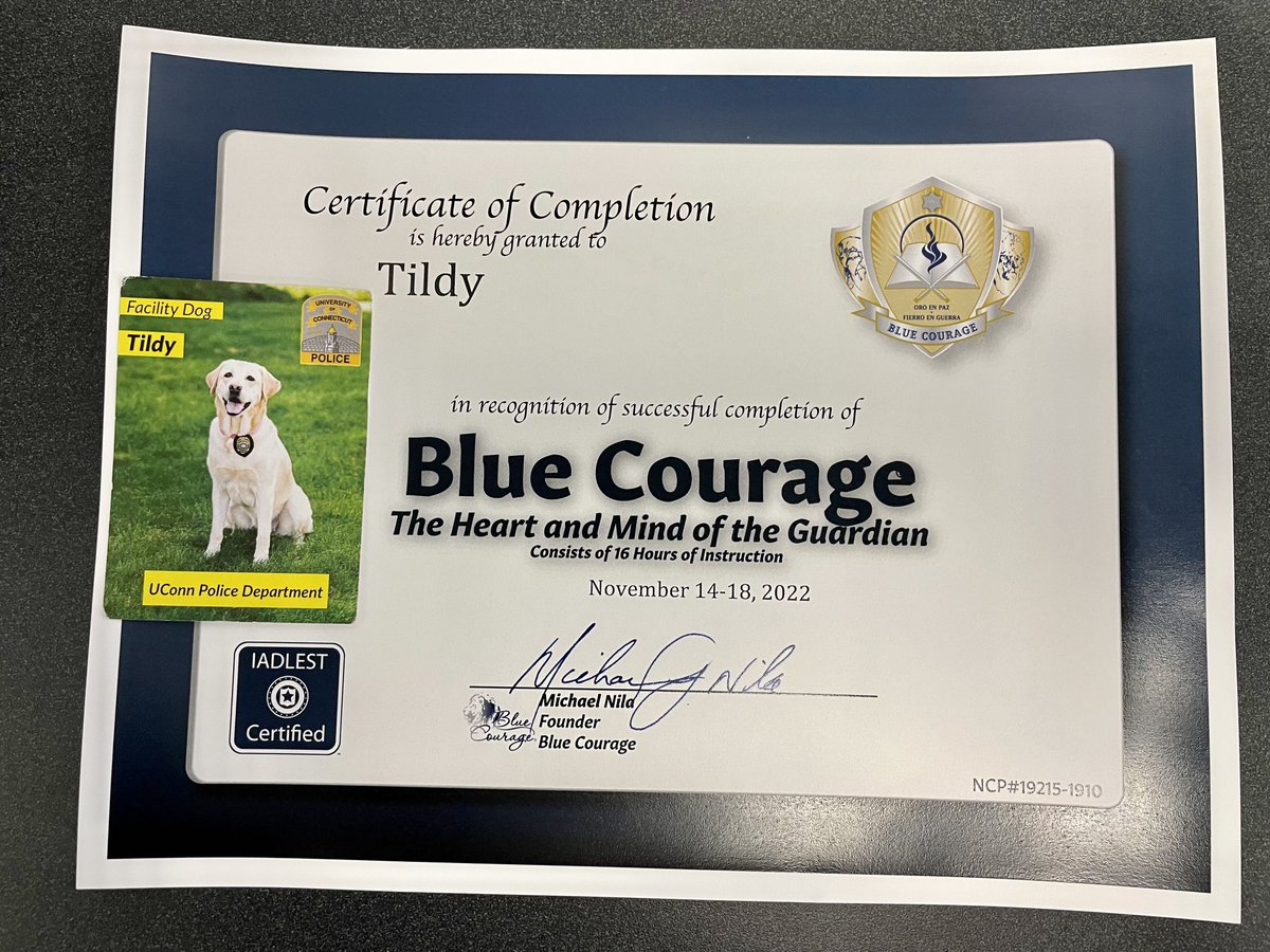 bluecourage's tweet photo. BC specially recognizes the 1st K-9 “Officer Tildy” (the UCONN Therapy Dog) to complete the 2-day class! She attended the TTT, but struggled with the teach backs! Justin will continue to coach her….
#BlueCourage #leleadershipdevelopment
#CTPoliceAcademy #k9cops #bethechange https://t.co/ApHLQpFA3y