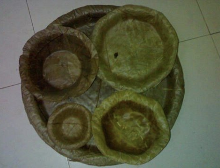 trashtalktime1's tweet photo. These compostable plates made from dried leaves were common in India.
#trashtalktime, #savetheearth, #reduce, #plastickills https://t.co/AYDf1t8sLb