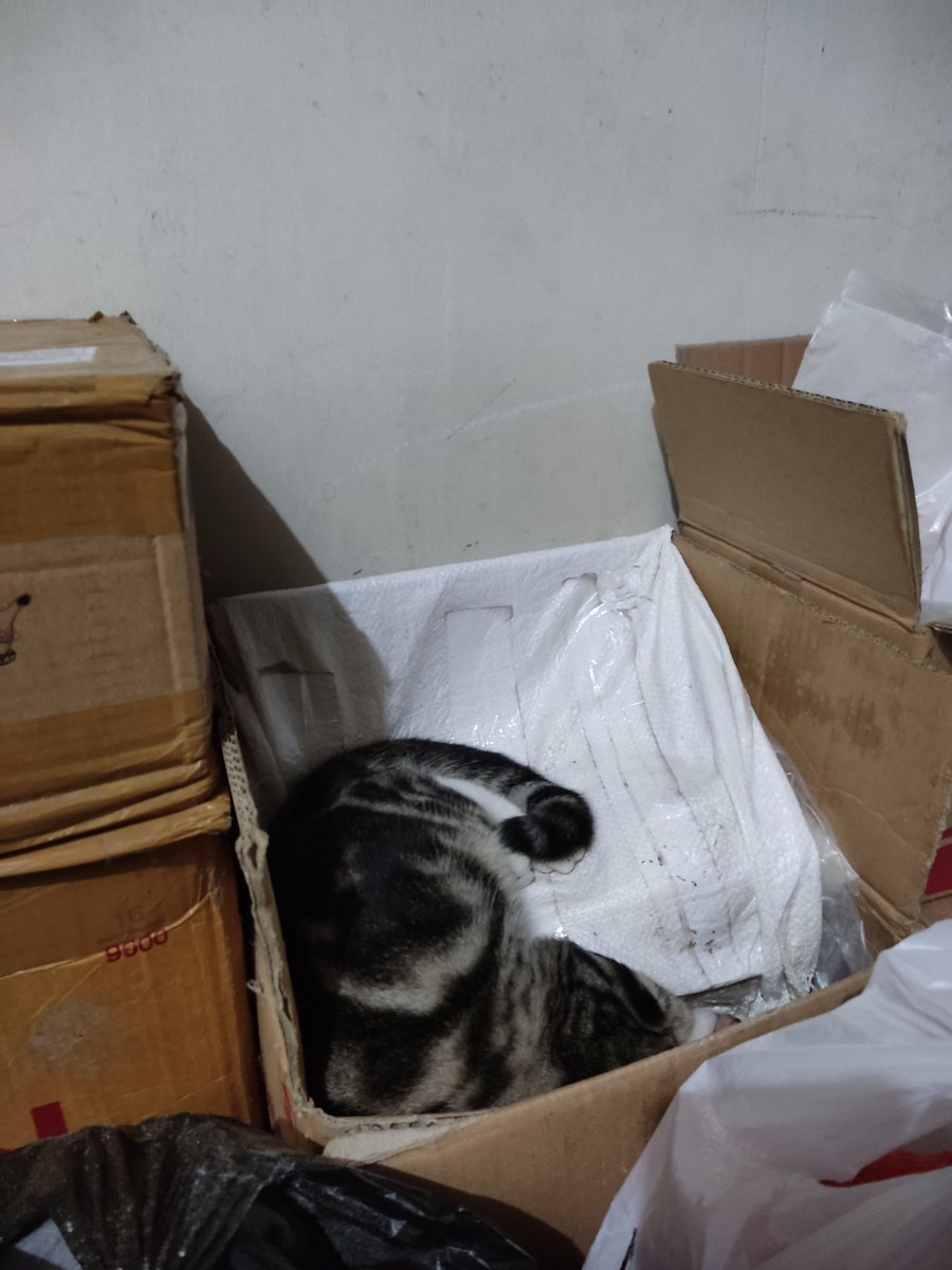 LaunaAce's tweet photo. Sampe gamau ketemu aku klo ngambek🤣🤣 https://t.co/gJIhSt1zdM