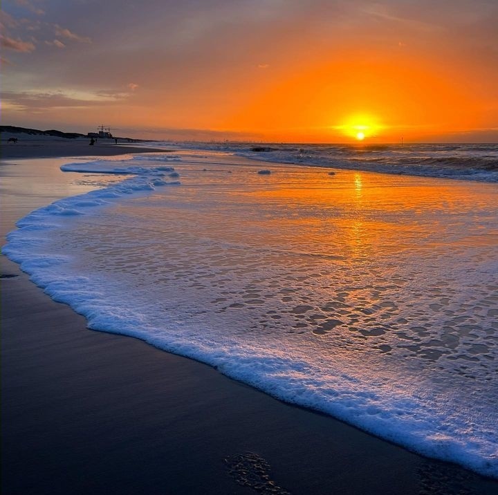 ir a ver el atardecer al mar es un PLANAZOO