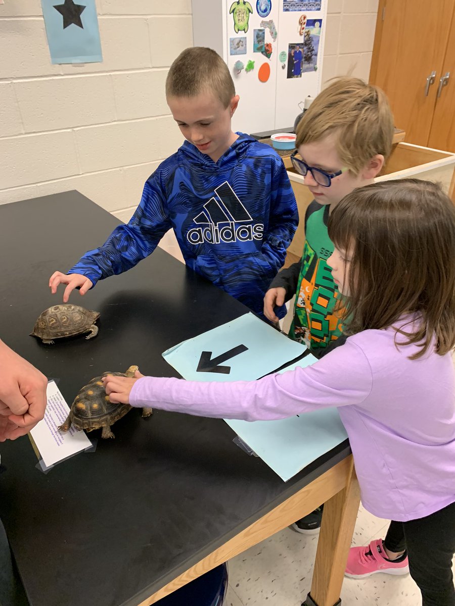 Mrs Geist tweet media