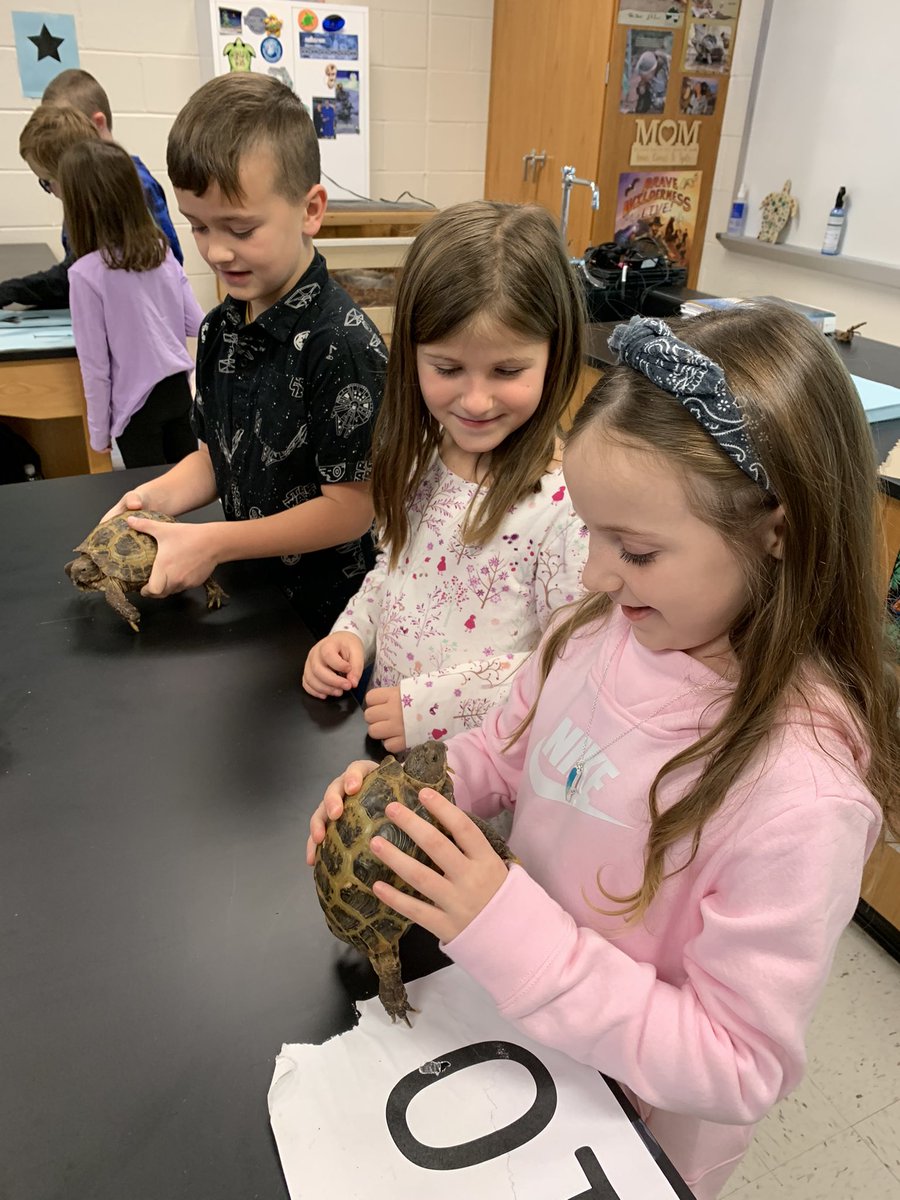 Mrs Geist tweet media